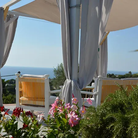 Farm stay La Pergola Forio (Isola d'Ischia)