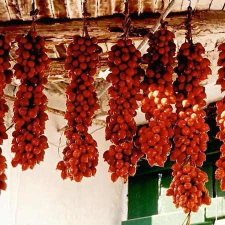 Farm stay La Pergola